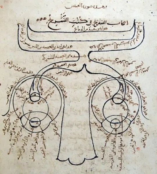 Schema anatomico della vista nel Kitab al-Manazir (Libro dell'Ottica), scritto da al-Haytham fra il 1011 e il 1021. Da notare la descrizione del chiasmo visivo, ovvero che l'occhio destro è collegato al lato sinistro del cervello e viceversa.